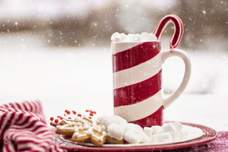 cocoa, hot chocolate, candy cane